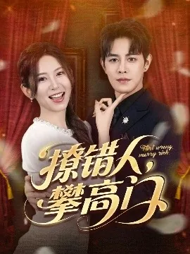 撩错人攀高门甜文