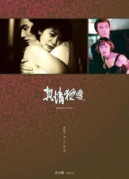 真情狂爱胡兵贾静雯主演