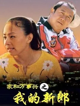 家和万事兴之我的新郎百度网盘