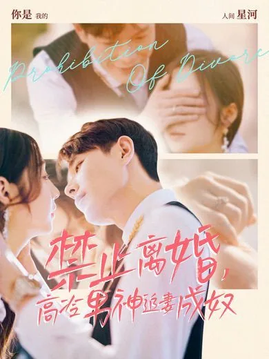 禁止离婚高冷男神追妻成奴短剧免费播放