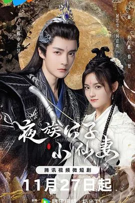 夜族公子小仙妻小说全集免费观看最