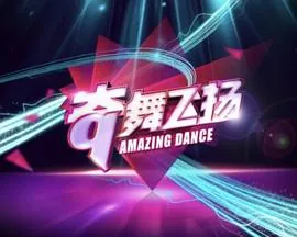 奇舞飞扬2013