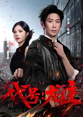 代号龙主演员表