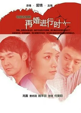 再婚进行时剧情沈心跟谁在一起