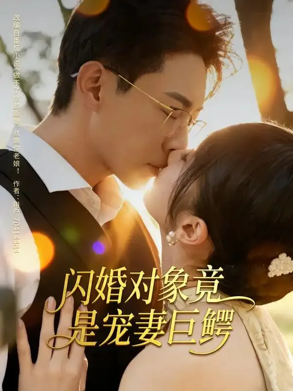 闪婚对象竟是豪门继承人