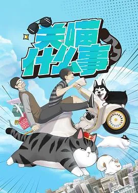 关喵什么事一共有多少集