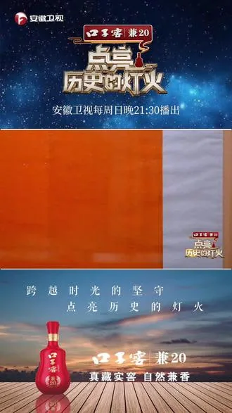点亮历史的灯火钱文忠杨澜