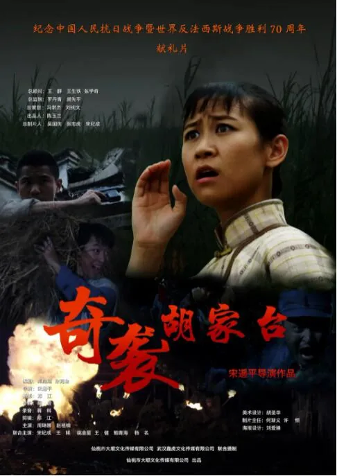 奇袭胡家台电视剧免费观看
