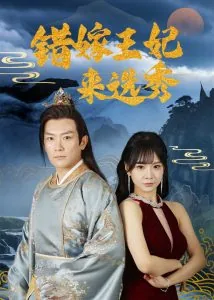 错嫁王妃 小说