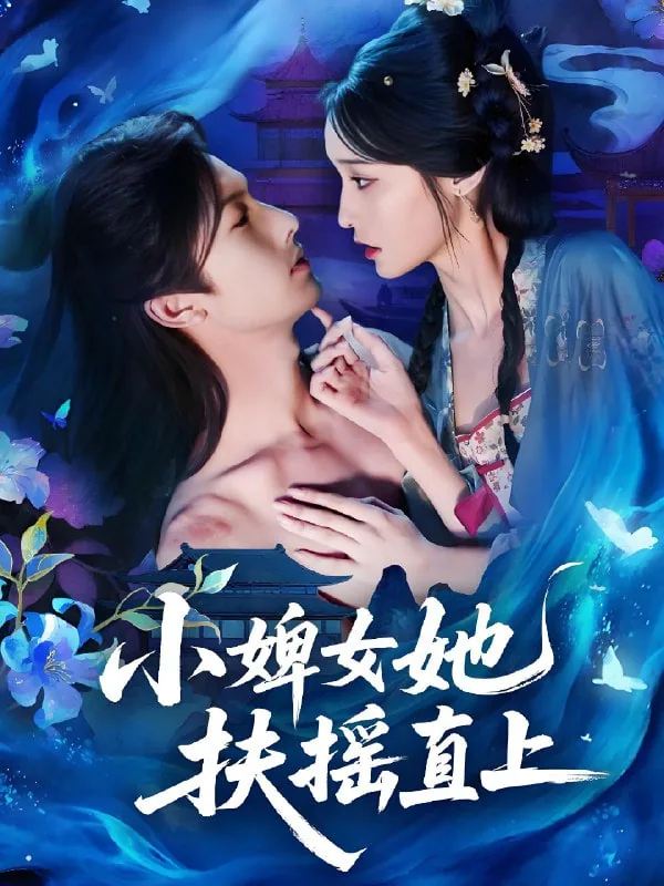 小婢女 小说