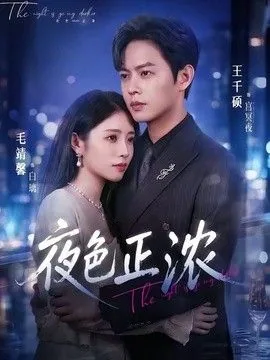夜色正浓电视剧2026