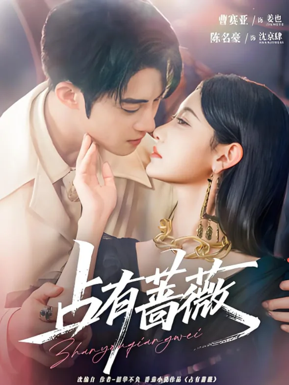 占有蔷薇作者:韶华不负