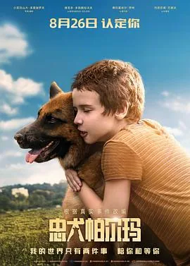忠犬帕尔玛观看链接