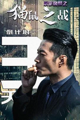 反诈风暴之猫鼠之战剧情