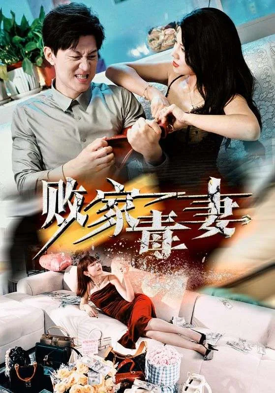 败家毒妻主演名单介绍