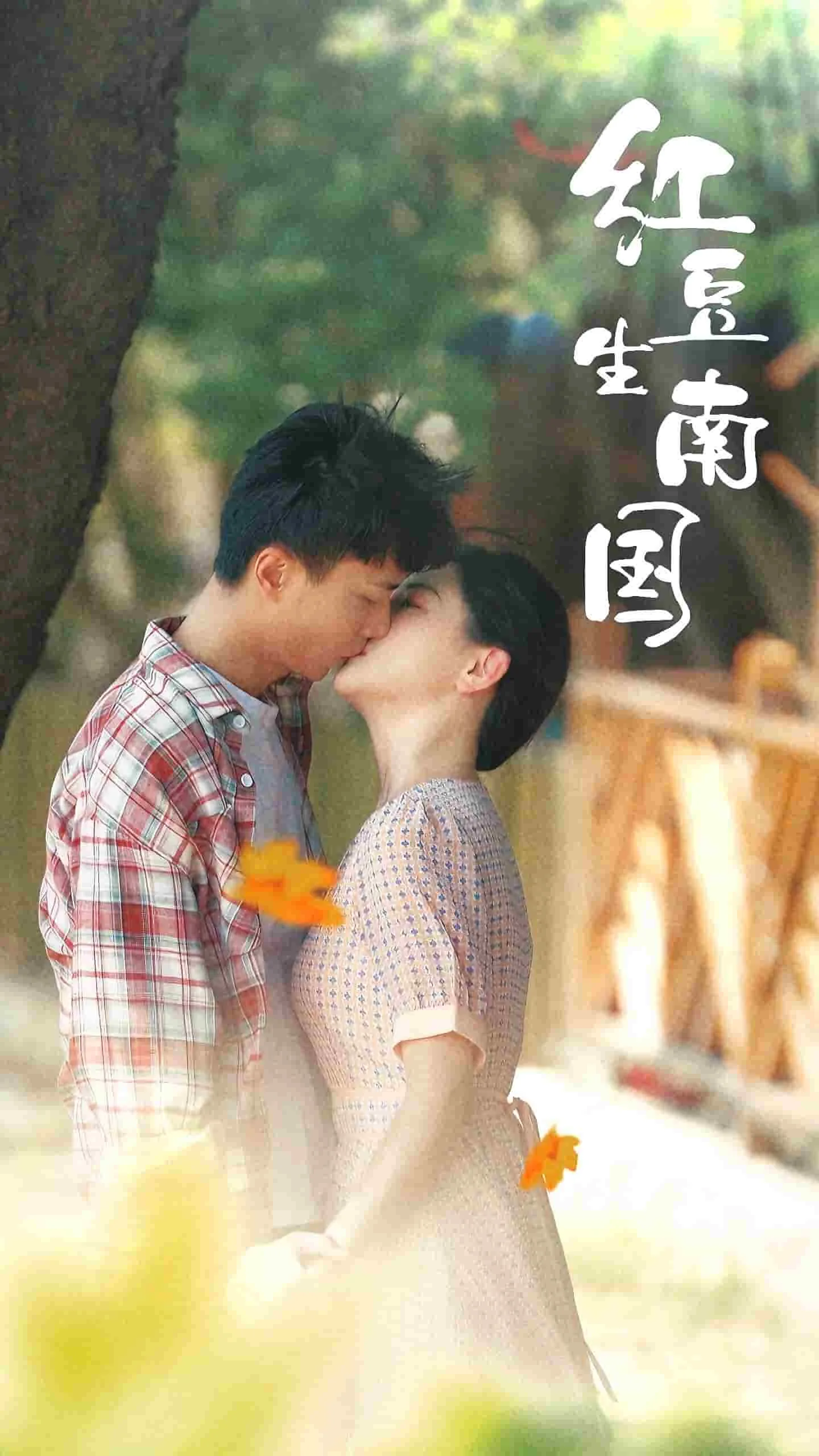 红豆生南国电视剧免费观看全集