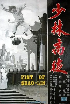电影少林高手