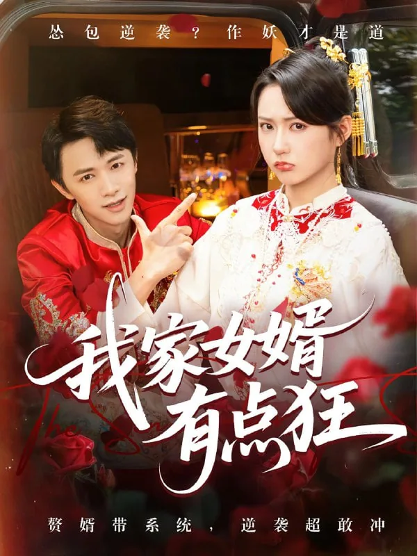 我家女婿有点狂短剧免费观看