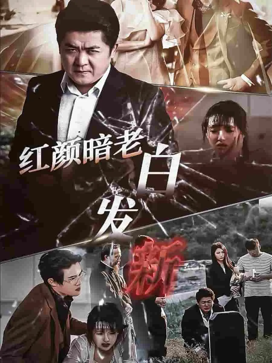 红颜暗老白发新短剧推荐