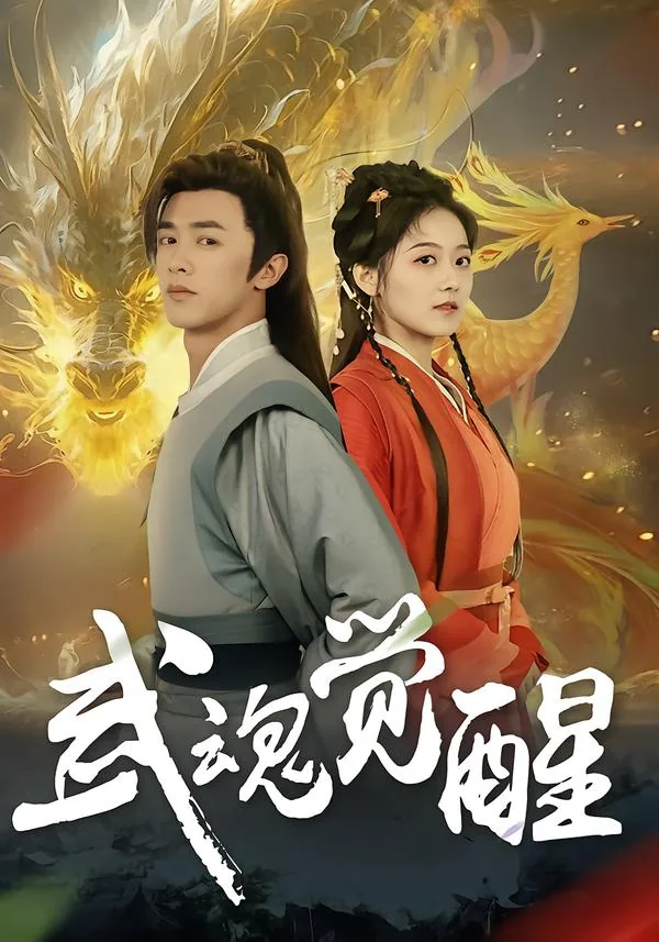 武魂觉醒日月双辰仪的介绍