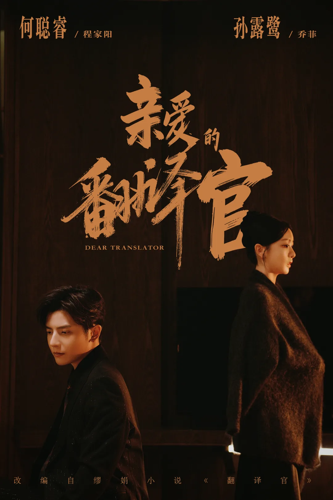 亲爱的翻译官全集免费观看