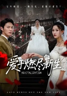 爱于燃尽新生顾云霄全文免费