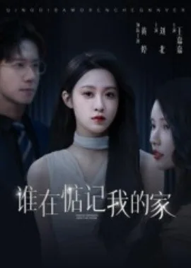 谁在惦记我的家英文翻译