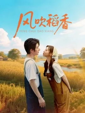 风吹稻香阅读理解题及答案