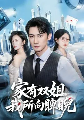 家有双姐,我所向睥睨小说