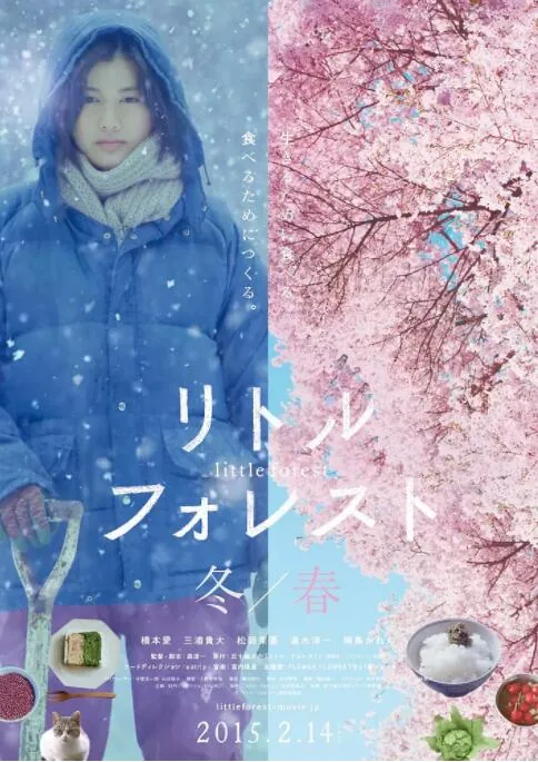 小森林Pro升级款XRA