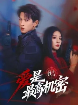 爱是最高机密电视剧免费观看