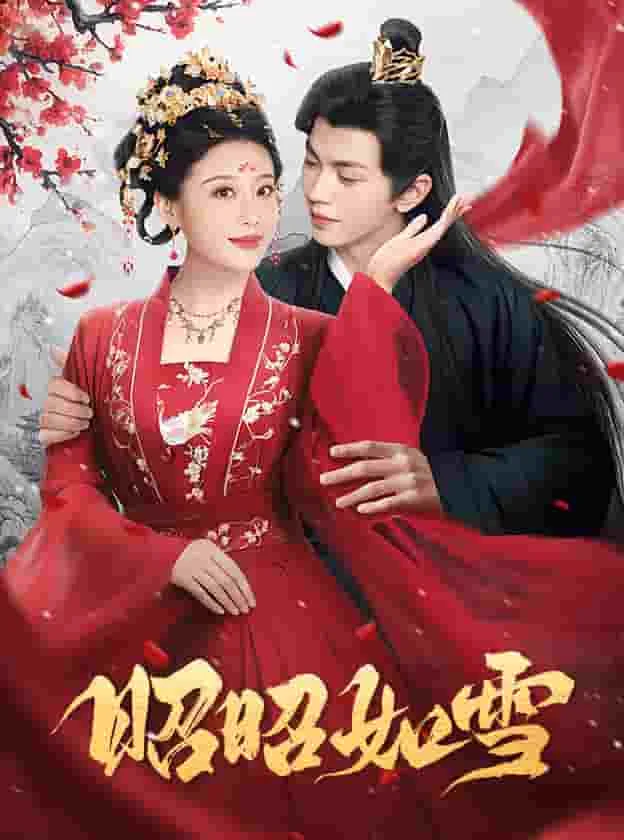 昭昭如明月