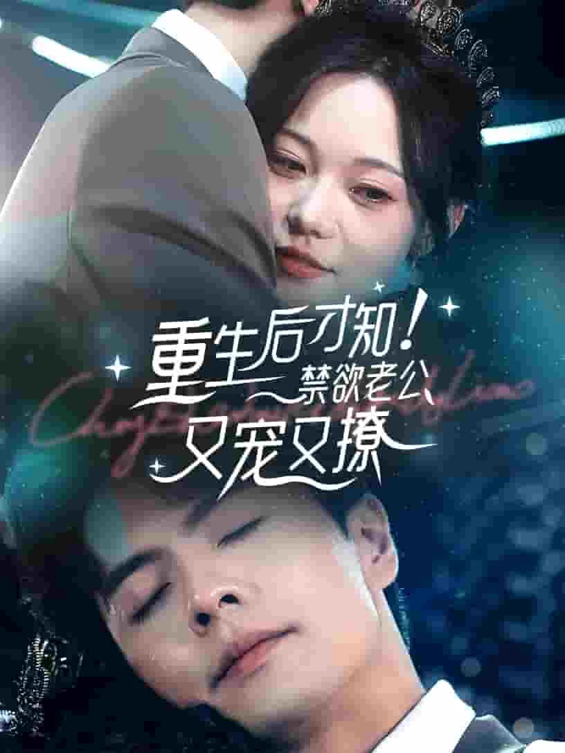 重生才知禁欲老公宠又撩