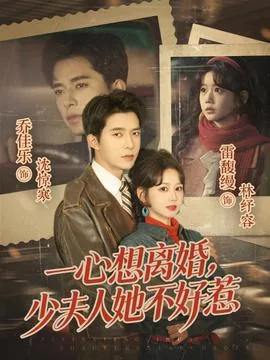 一心想离婚,少夫人她不好惹大结局