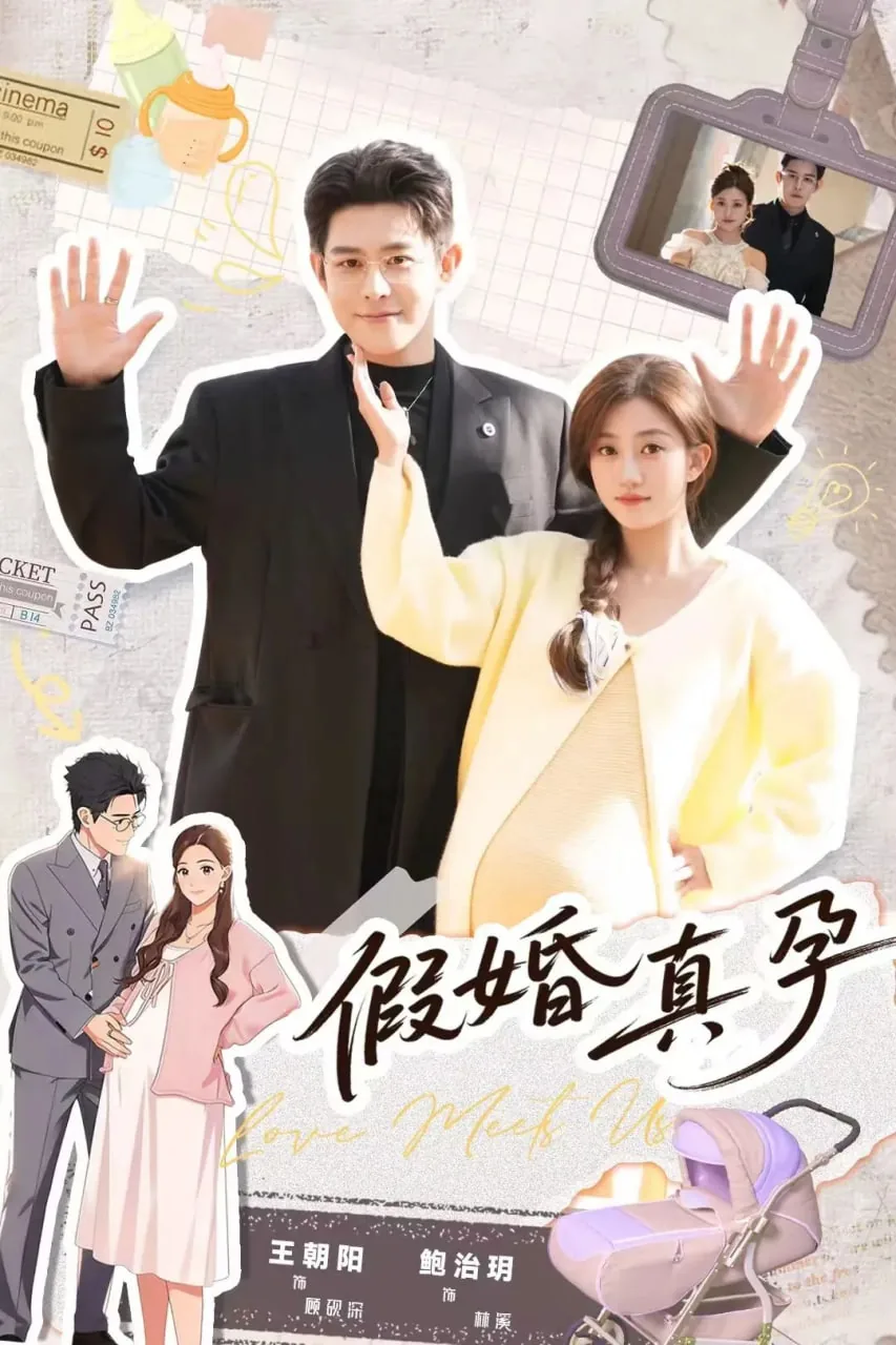 假婚真孕演员表介绍