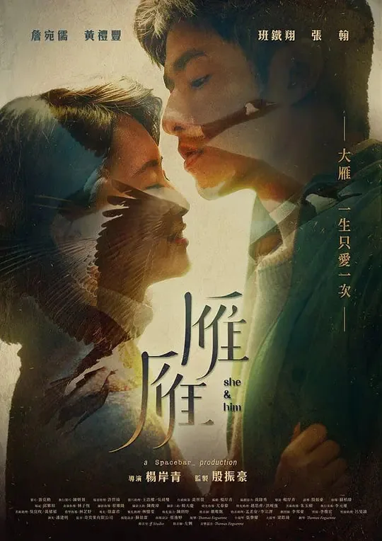 雁雁果小说