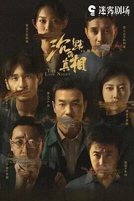 沉默的真相是哪年拍的电视剧