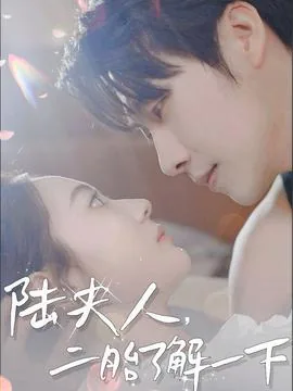 陆夫人二胎了解一下视频在线观看