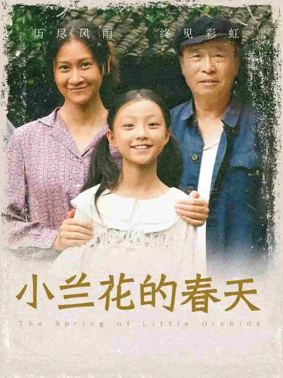小兰花的春天图片大全