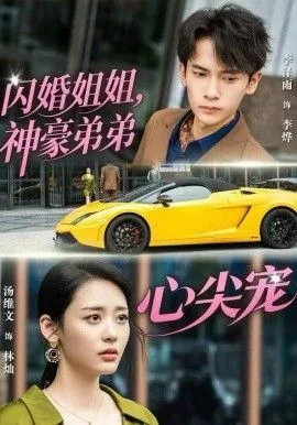 闪婚姐姐,神豪弟弟心尖宠小说