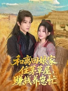 和离回娘家住茅草屋,赚钱养崽忙短剧冷青霖柳恬恬