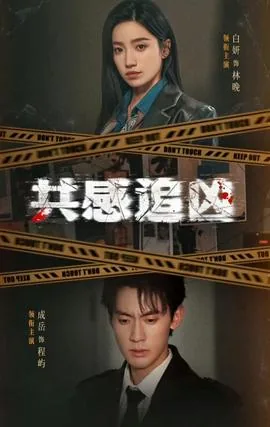 共感追凶白妍短剧免费观看