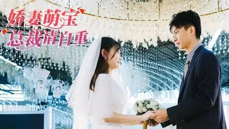 娇妻萌宝总裁请自重短剧全集