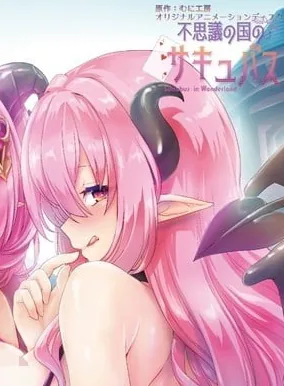 不可思议的国家魅魔第二集免费观看动画