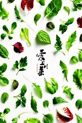爱上川菜在线收看