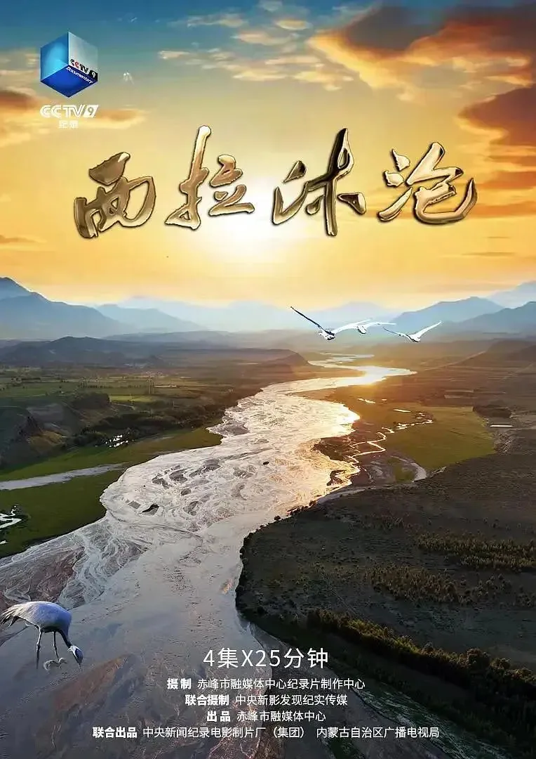 西拉沐沦服务区有充电桩吗