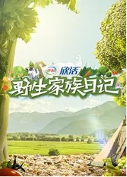 野生家族日记有汪苏泷吗