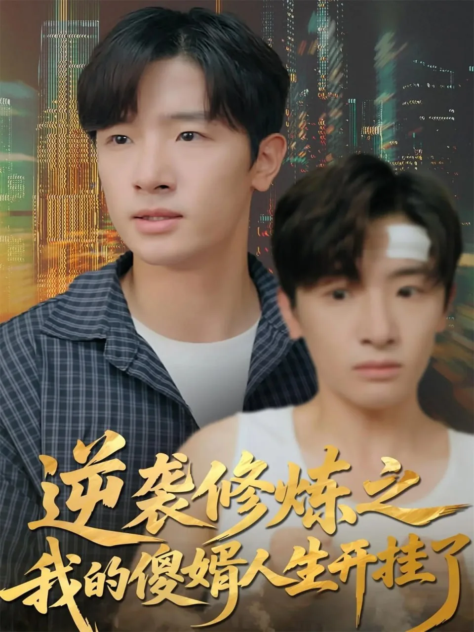 逆袭修炼之我的傻婿人生开挂了好久