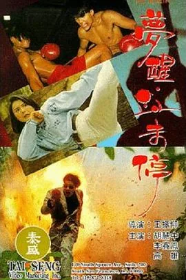 梦醒血未停李赛凤主演