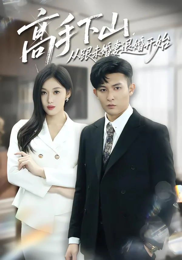 高手下山退婚小说